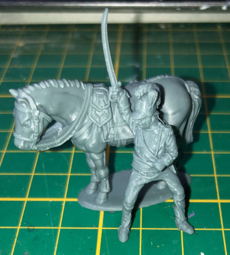 Line officer and Horse